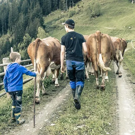 Brugger Chaletdorf Dağ evi