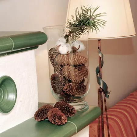 Brugger Chaletdorf Dağ evi *