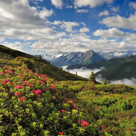 Brugger Chaletdorf Horská chata Mayrhofen