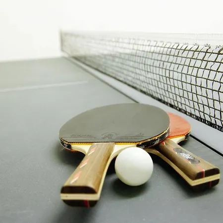 Brugger Chaletdorf * Mayrhofen