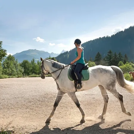 Brugger Chaletdorf Dağ evi