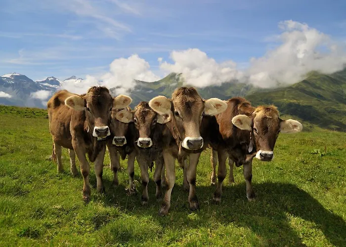 Chalet Brugger Chaletdorf