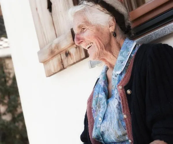 Brugger Chaletdorf בקתה מאיירהופן