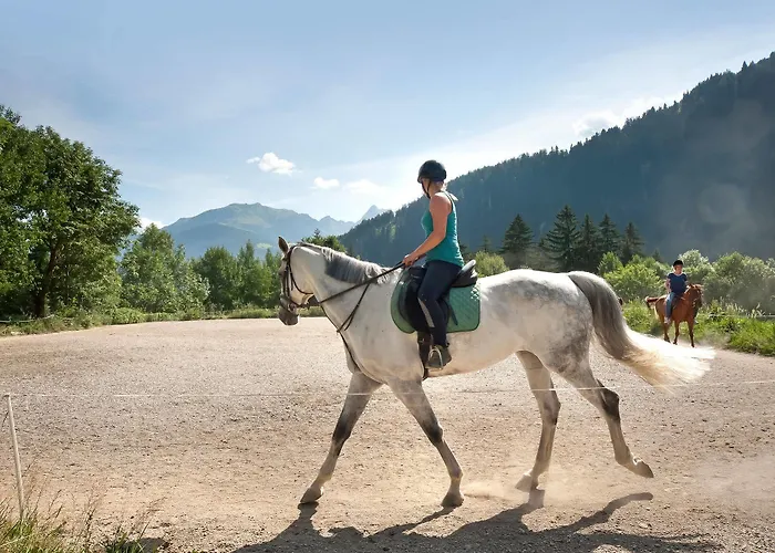Brugger Chaletdorf Dağ evi