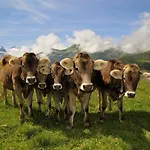 Domek alpejski Brugger Chaletdorf