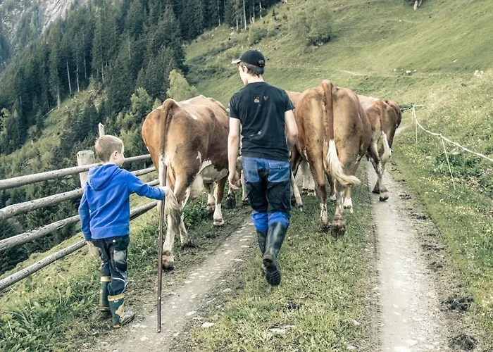 Brugger Chaletdorf בקתה