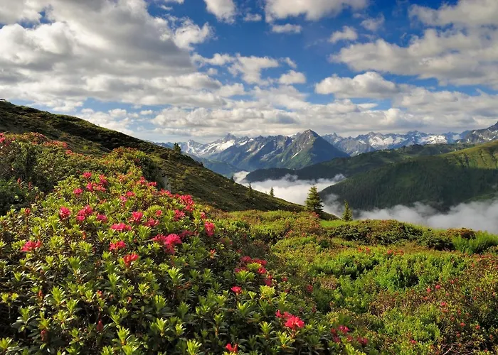 Brugger Chaletdorf בקתה מאיירהופן